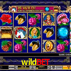 Diretório de Jogos wildbet