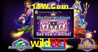 Casino Ao Vivo wildbet