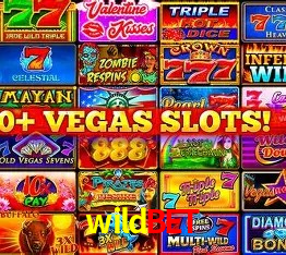 Promoções Sazonais wildbet