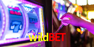 wildbet casino