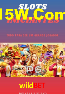 Interface Premium wildbet